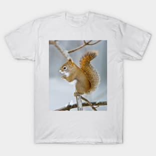 Red Squirrel T-Shirt